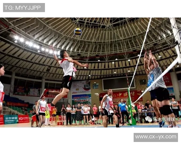 上海排球队战术实力分析排球战术排行榜揭示其第九名地位