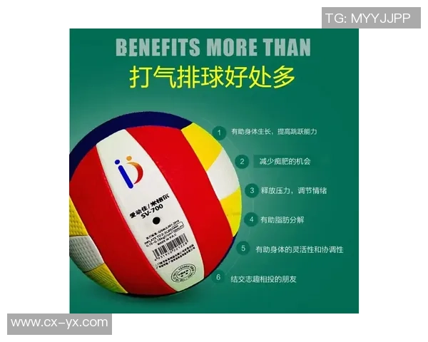 陈娜独家分享排球心得与技巧助你提升球技的秘密大公开